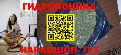 спайс Будённовск