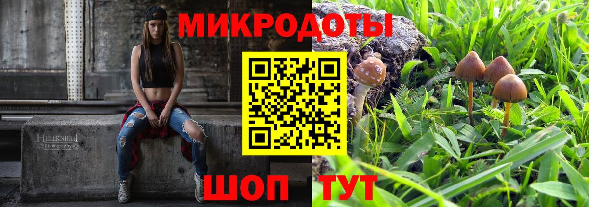Псилоцибиновые грибы мухоморы Урус-Мартан