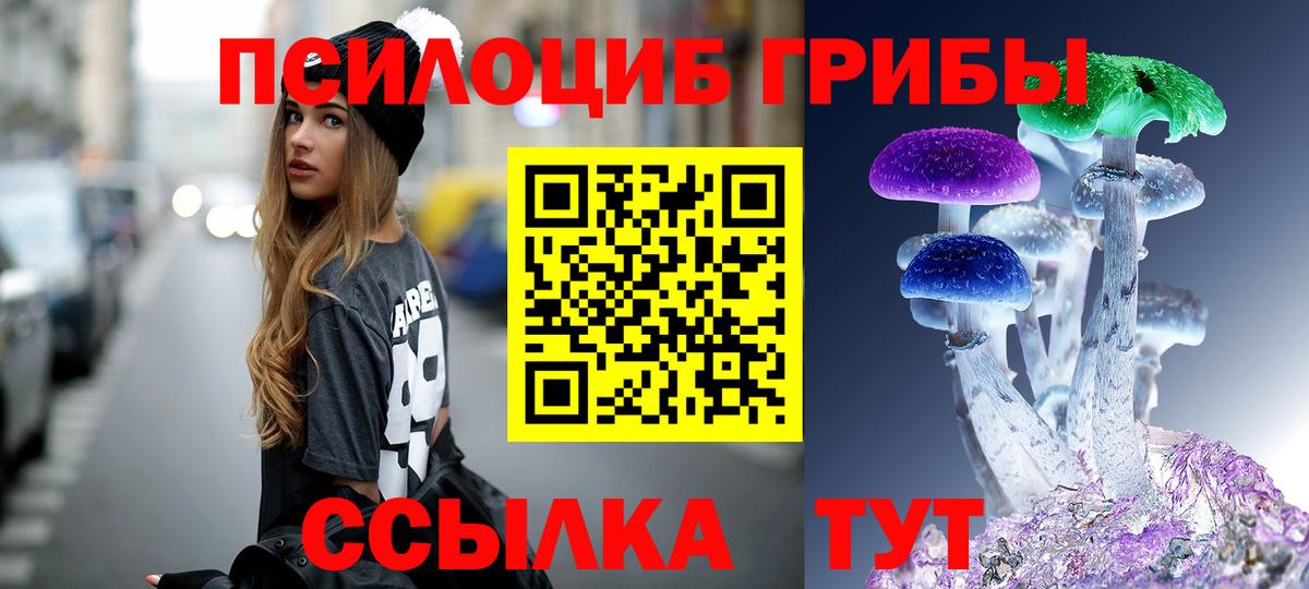 Урус-Мартан  Псилоцибиновые грибы GOLDEN TEACHER  что такое   Вход с VPN  Галлюциногенные грибы Psilocybe 